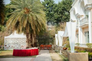 Sophisticated outdoor wedding setup with palm trees and elegant drapery creating a luxurious ambiance.